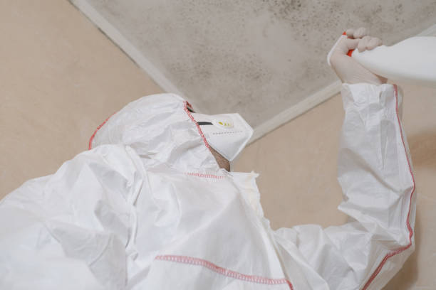 Best Mold Remediation Experts  in Privateer, SC